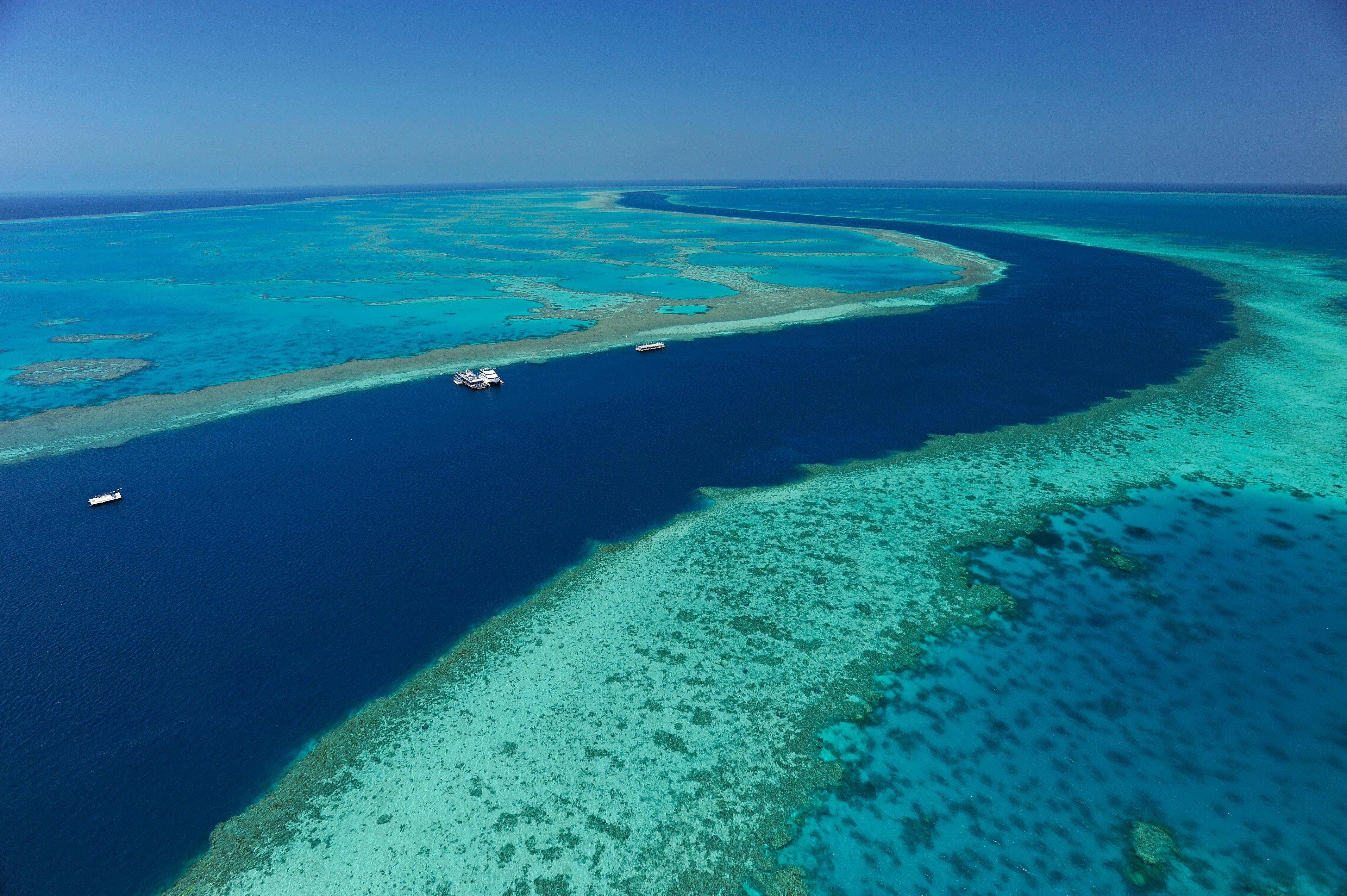 Hotel Reef View