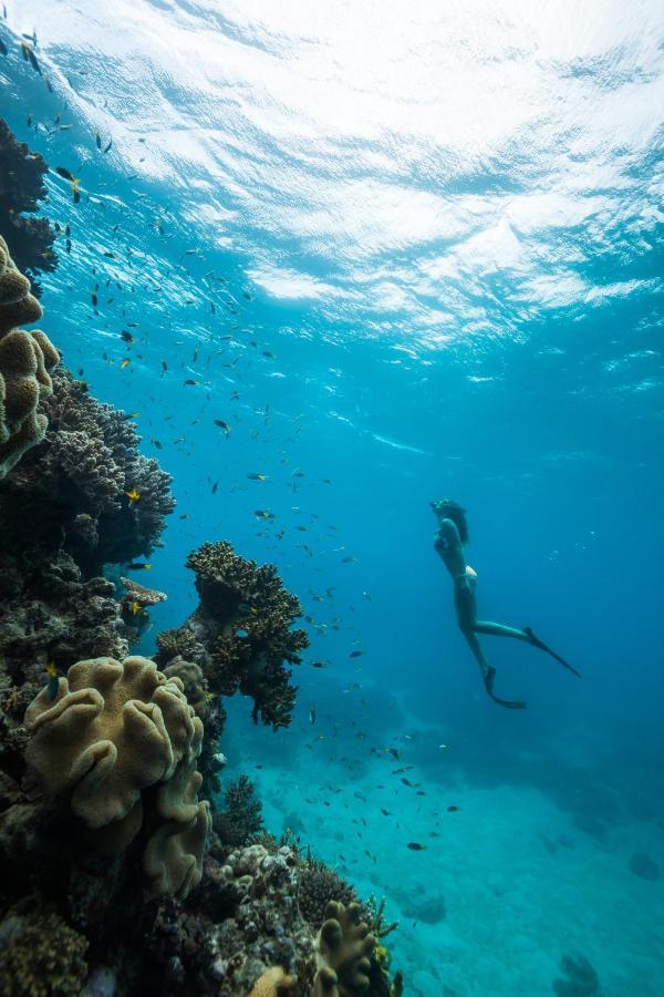 Reef View Hotel 4*