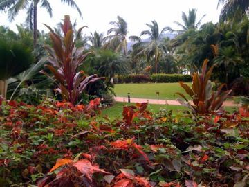Aparthotel Whitsunday