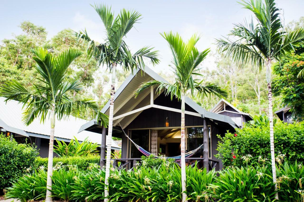 Palm 3*