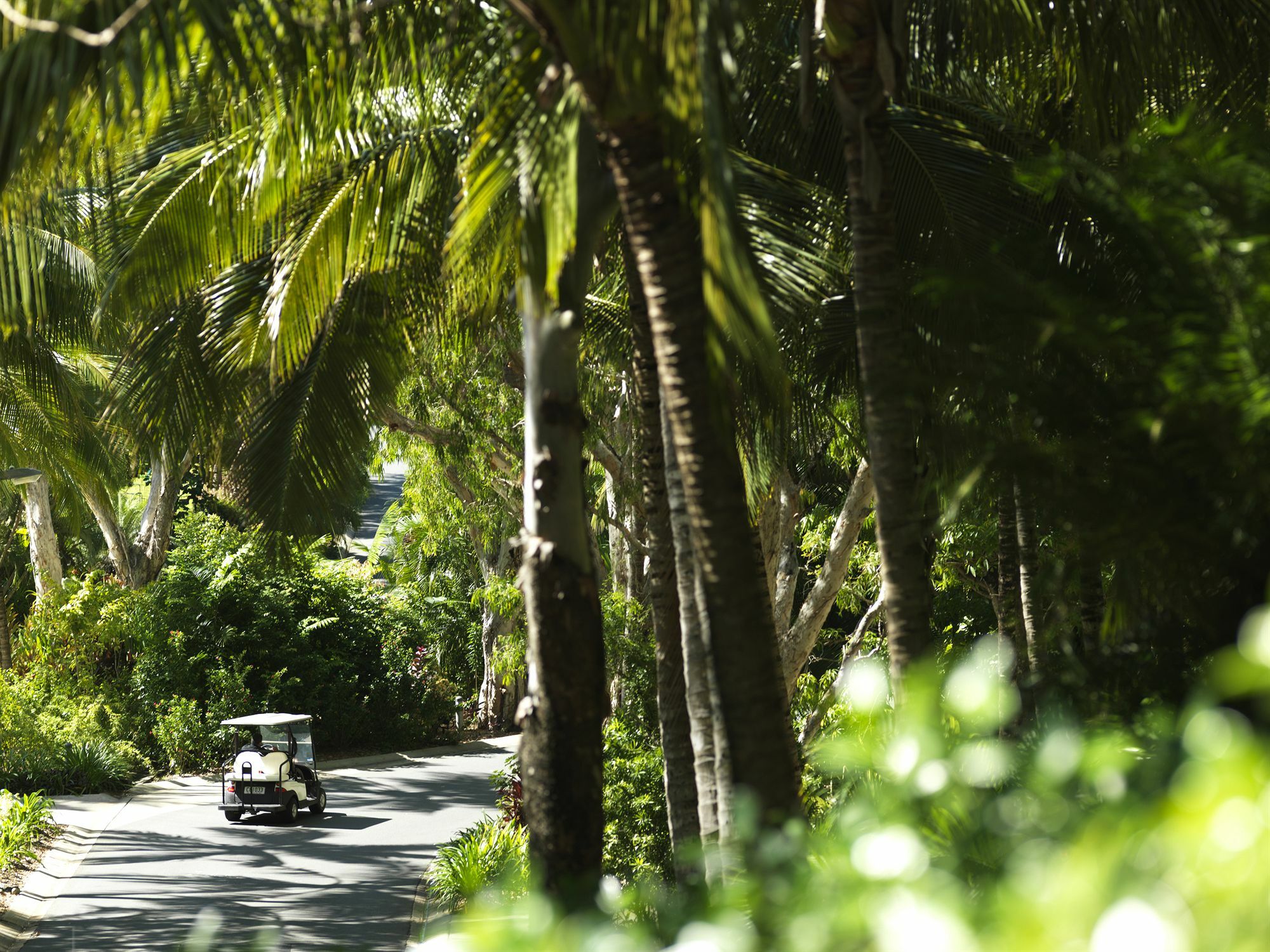 Palm Resort