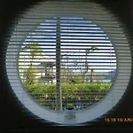 Compass Point 8