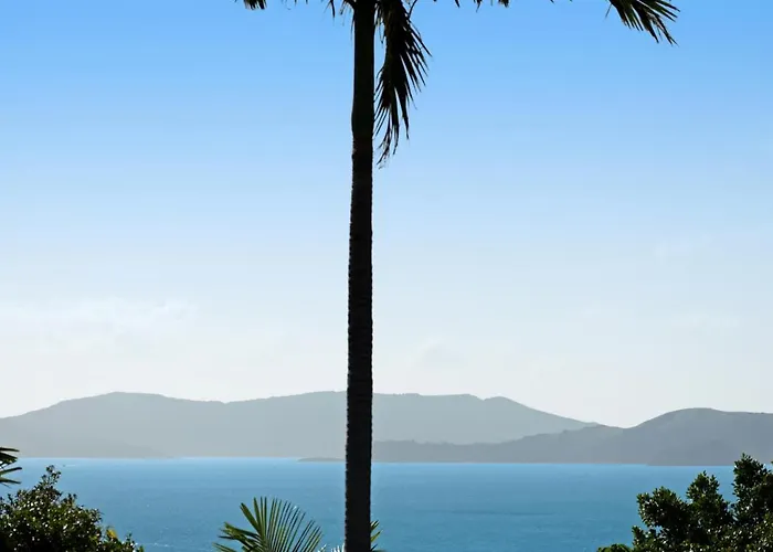 Oasis 25 Hamilton Island