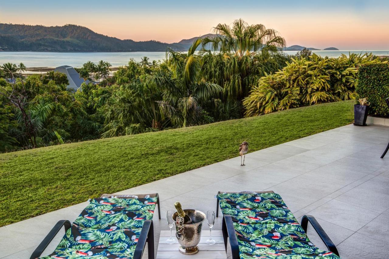 Superior Poinciana 011 On * Hamilton Island
