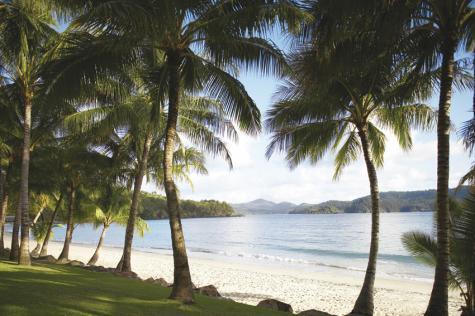 Palm Hotel Hamilton Island