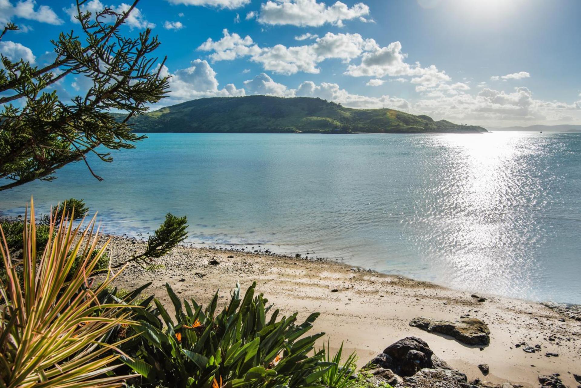 Yacht Club 19 - Ocean Front, Pool And 2 Buggies * Hamilton Island