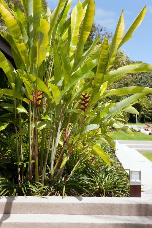 Hotel Qualia