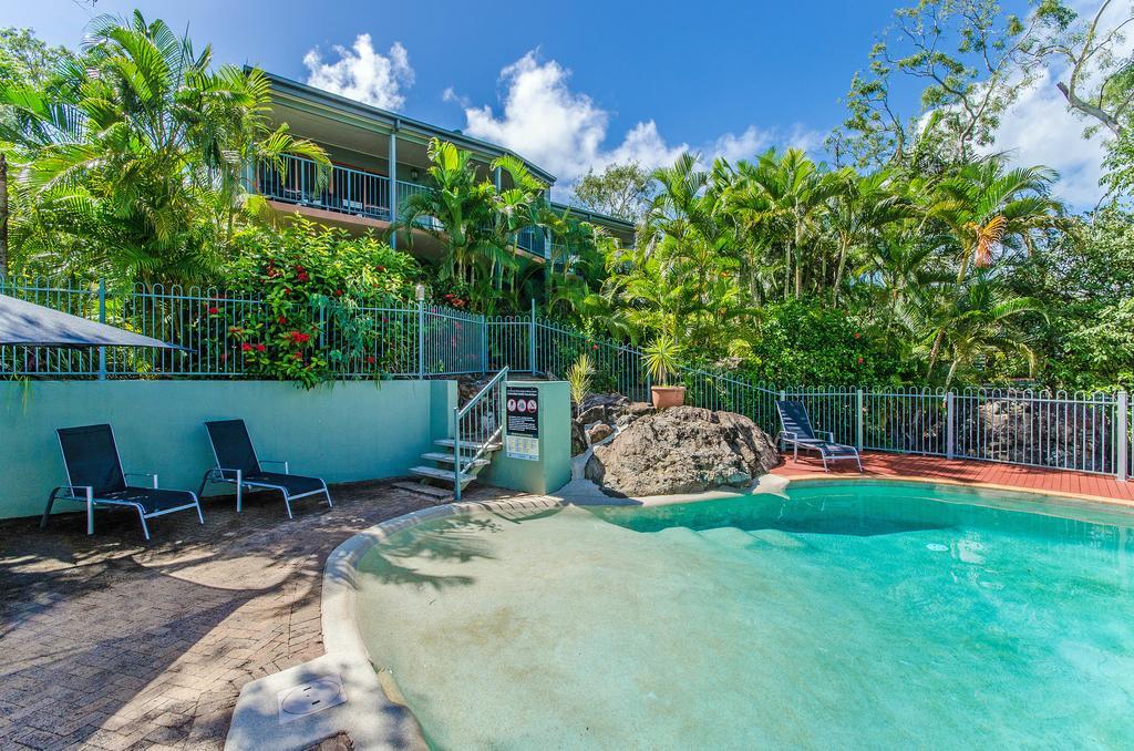 Heliconia Grove 9