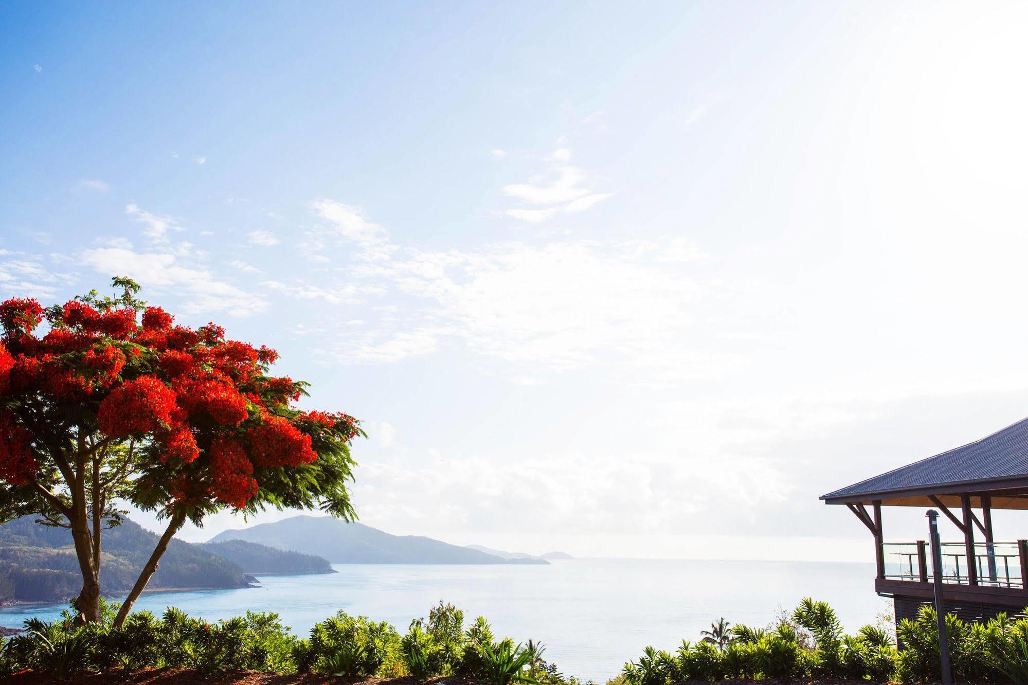 Club (adults Only) Resort Hamilton Island