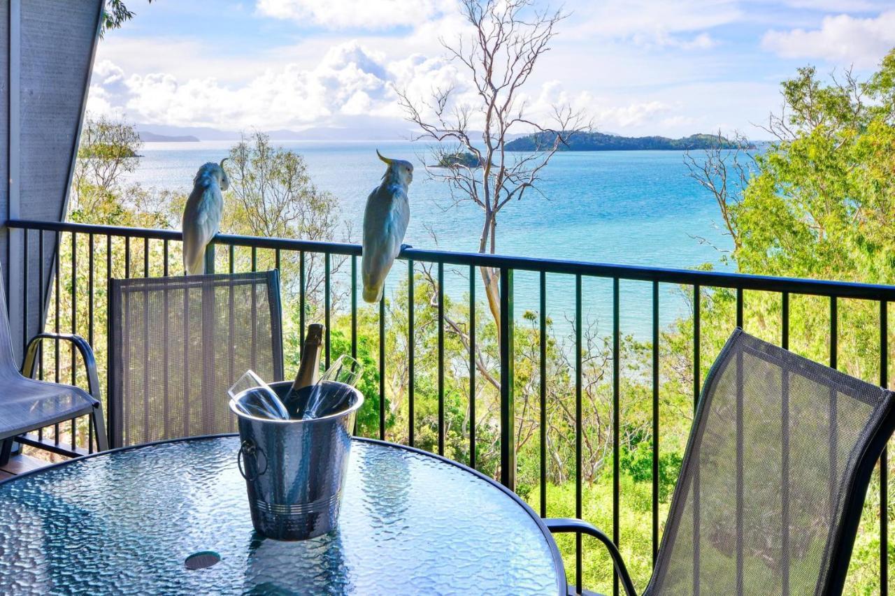 Apartment The Panorama 3, 2 Bedroom 2 Bathroom Ocean View Modern
