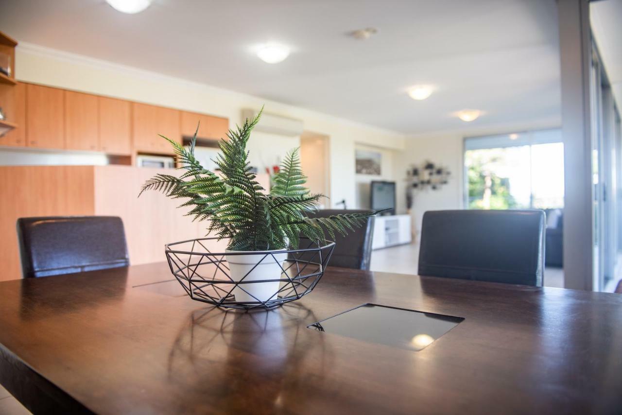 Oasis 26 -