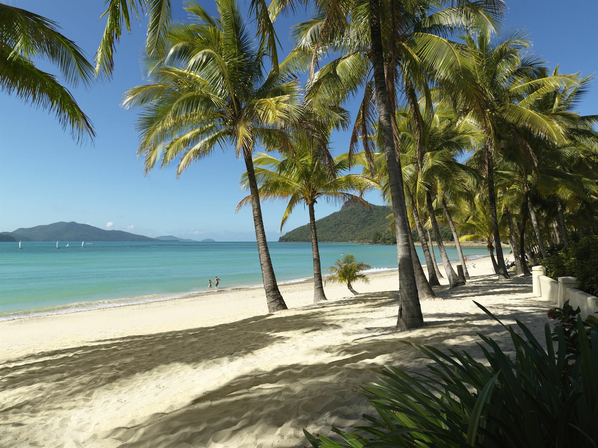 Resort Palm Hamilton Island