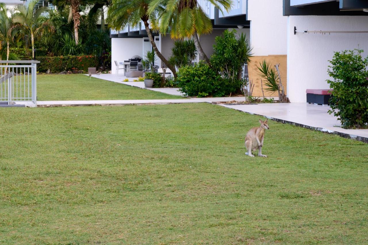Beach Lodges Apartment Hamilton Island