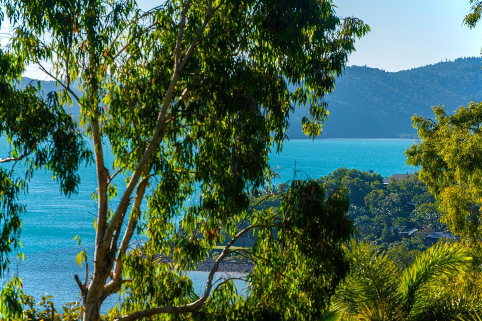 Sunset Waters Apartment Hamilton Island